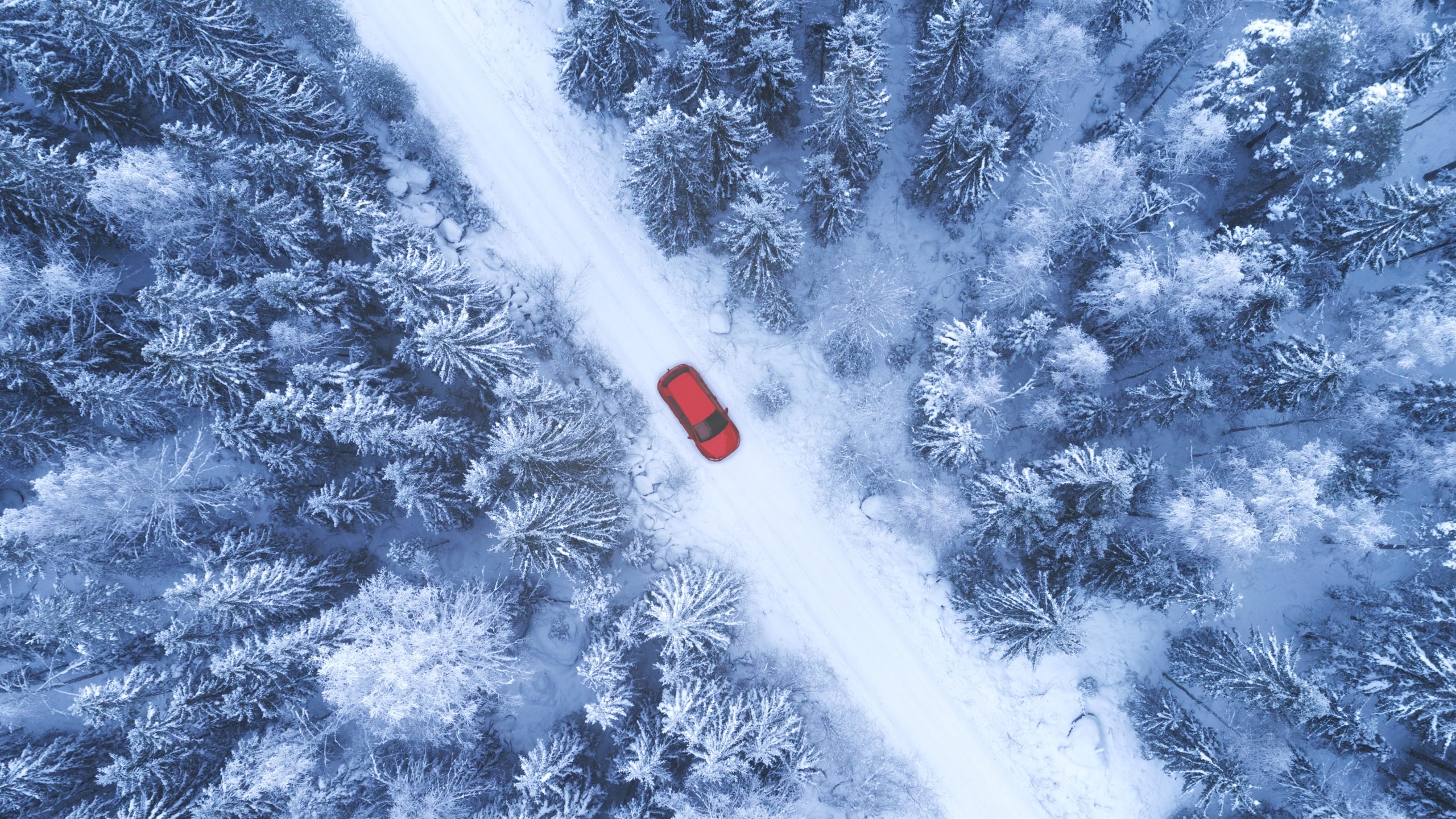 A photo of a red car driving on a snow covered road through a forest.