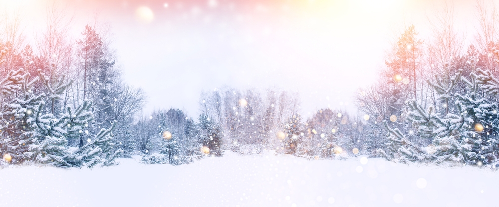 A photo of a winter scene