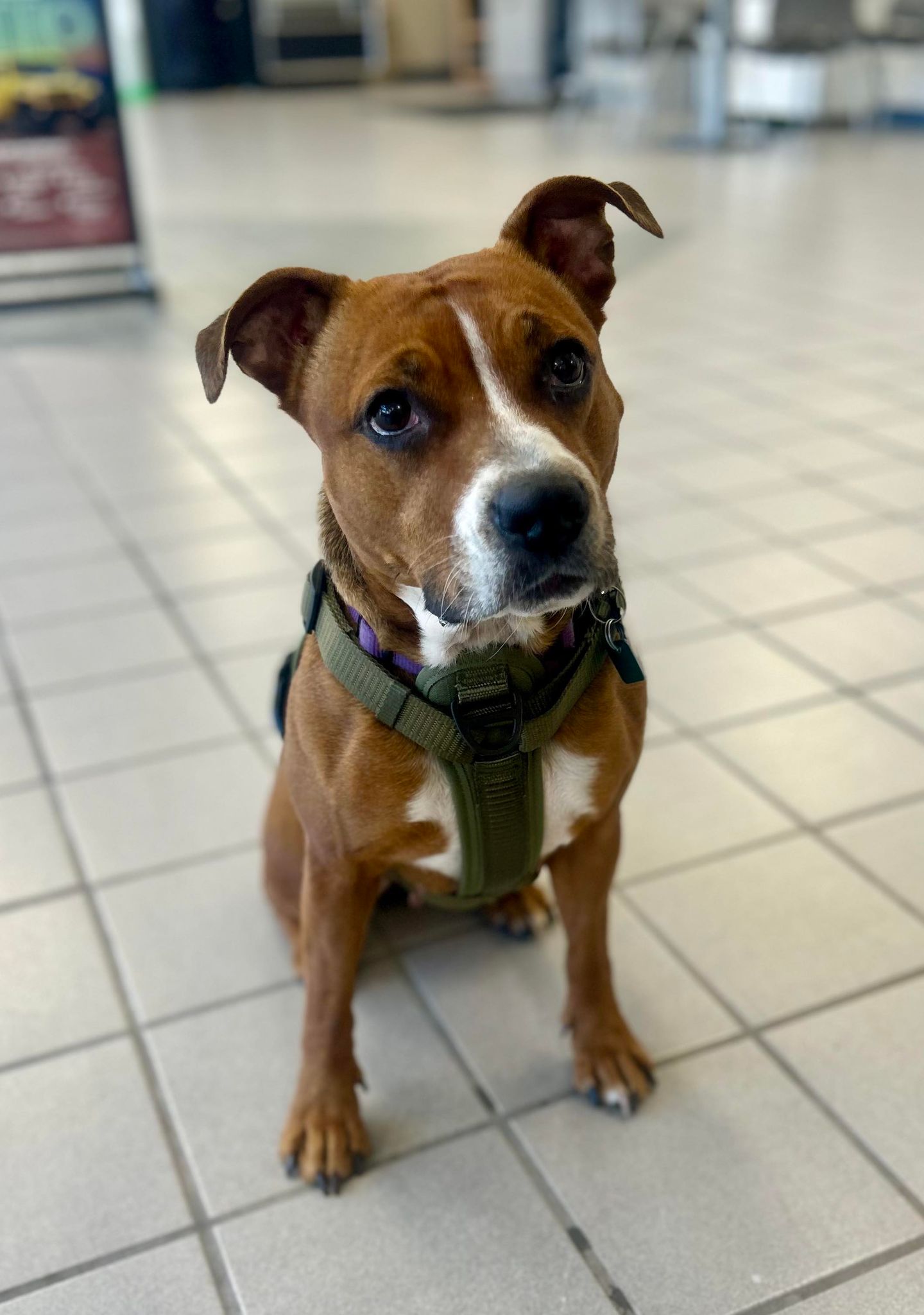 Cunningham Chrysler of Edinboro Staff New Car Dealership in Edinboro