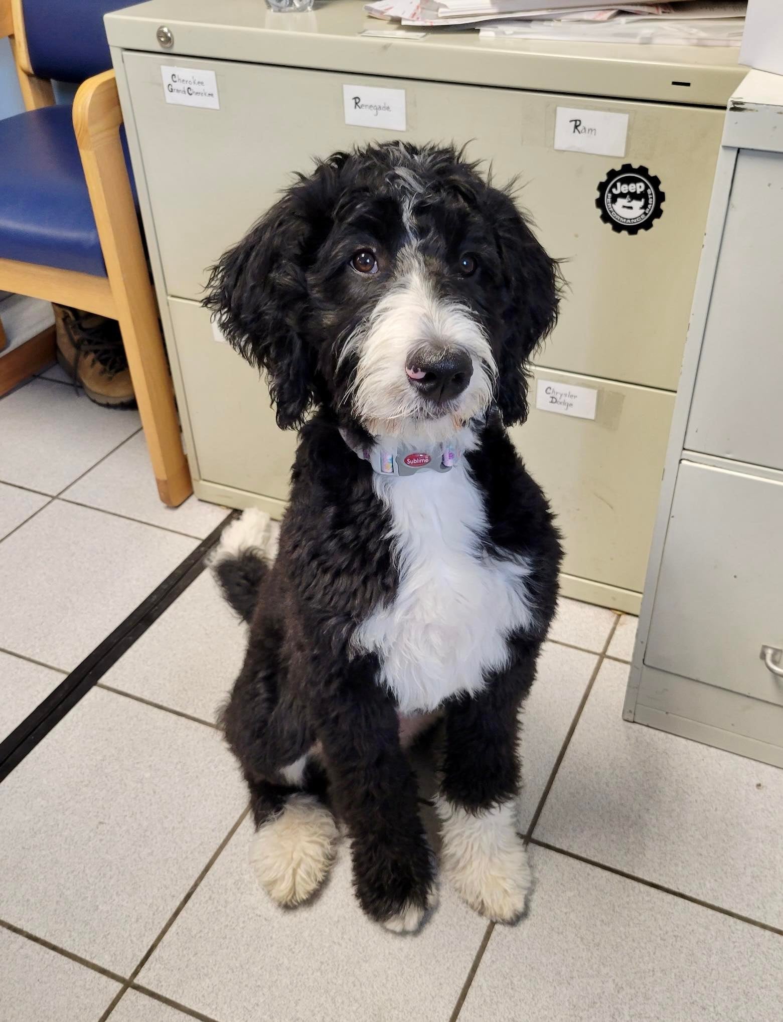 Cunningham Chrysler of Edinboro Staff New Car Dealership in Edinboro